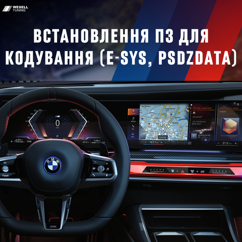 Установка ПО для кодирования (E-sys, psdzdata) 231020269 фото